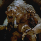 Look, it’s a rancor! Aaa!